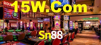 Sn88